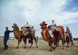 نیمه دوم مهرماه آغاز کوچ پاییزه عشایر استان اردبیل